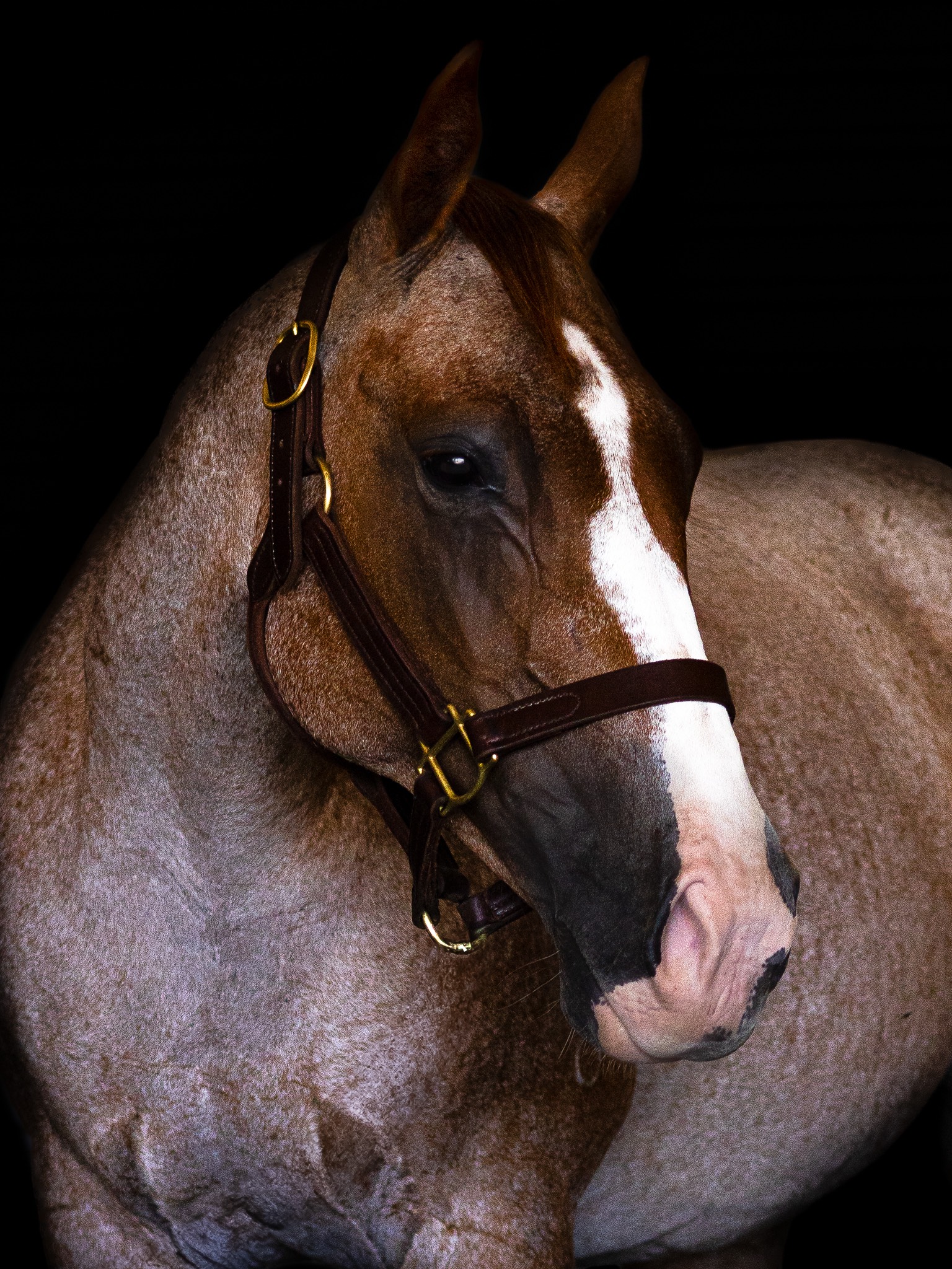 progeny_img