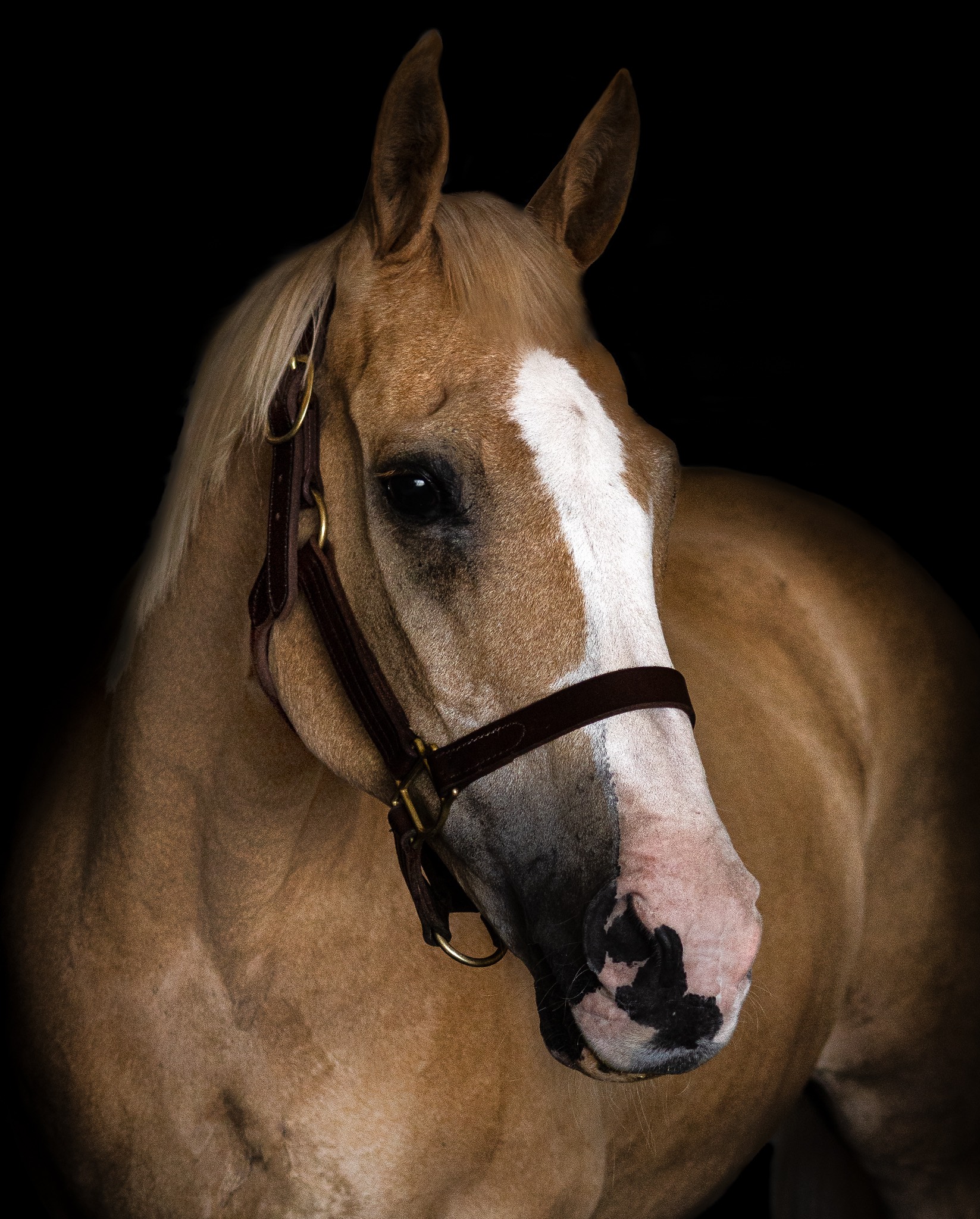 progeny_img