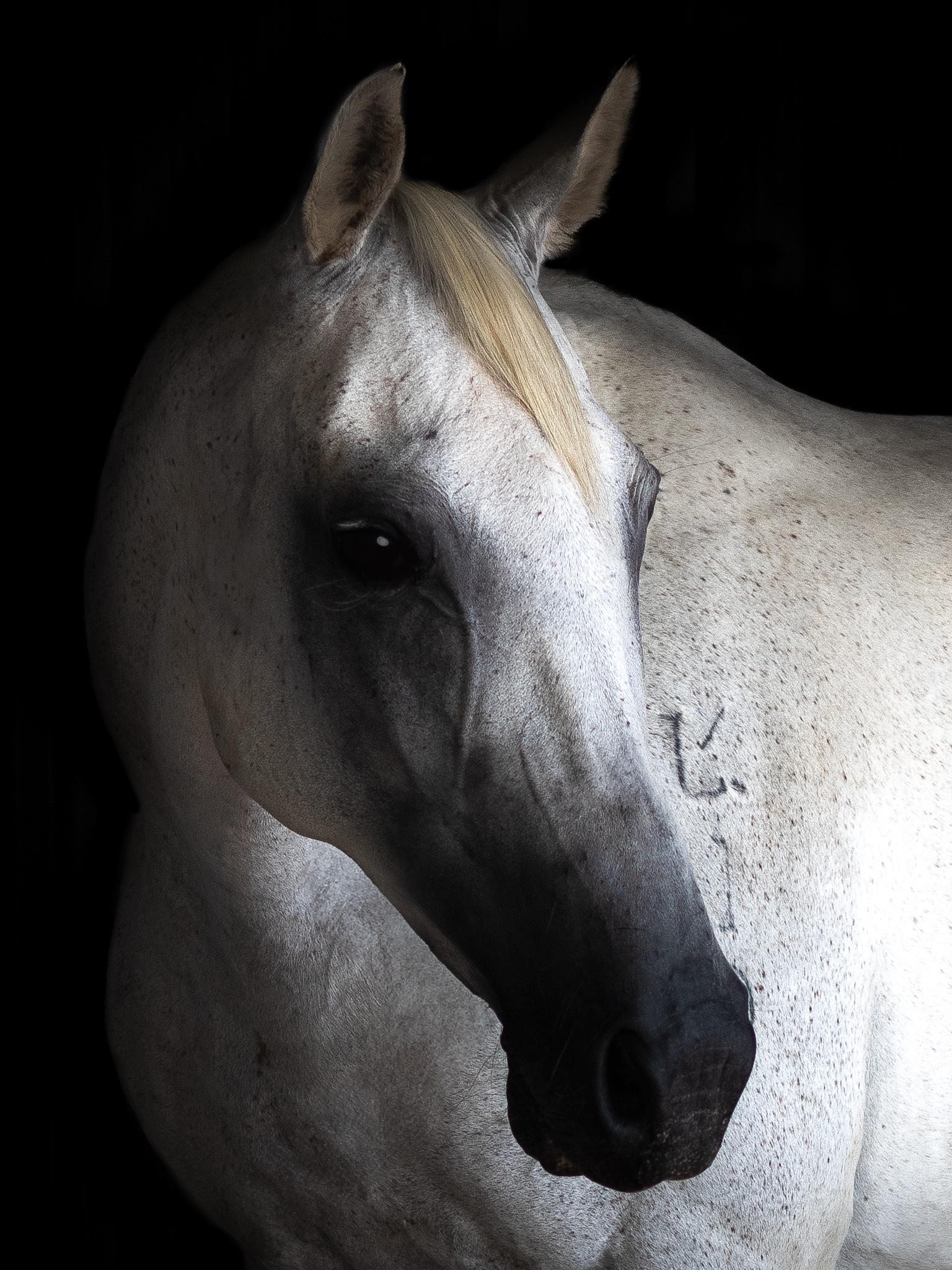 progeny_img