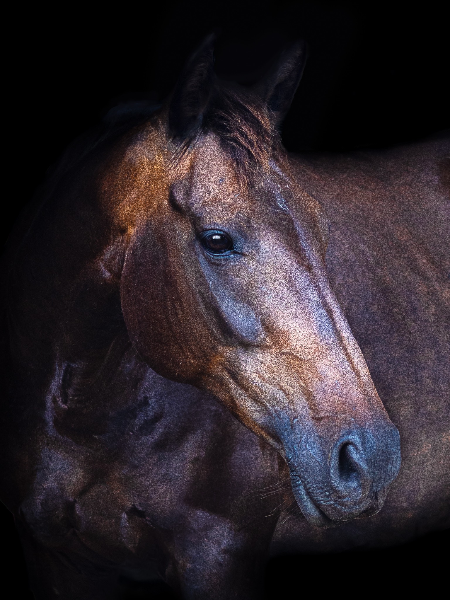 progeny_img