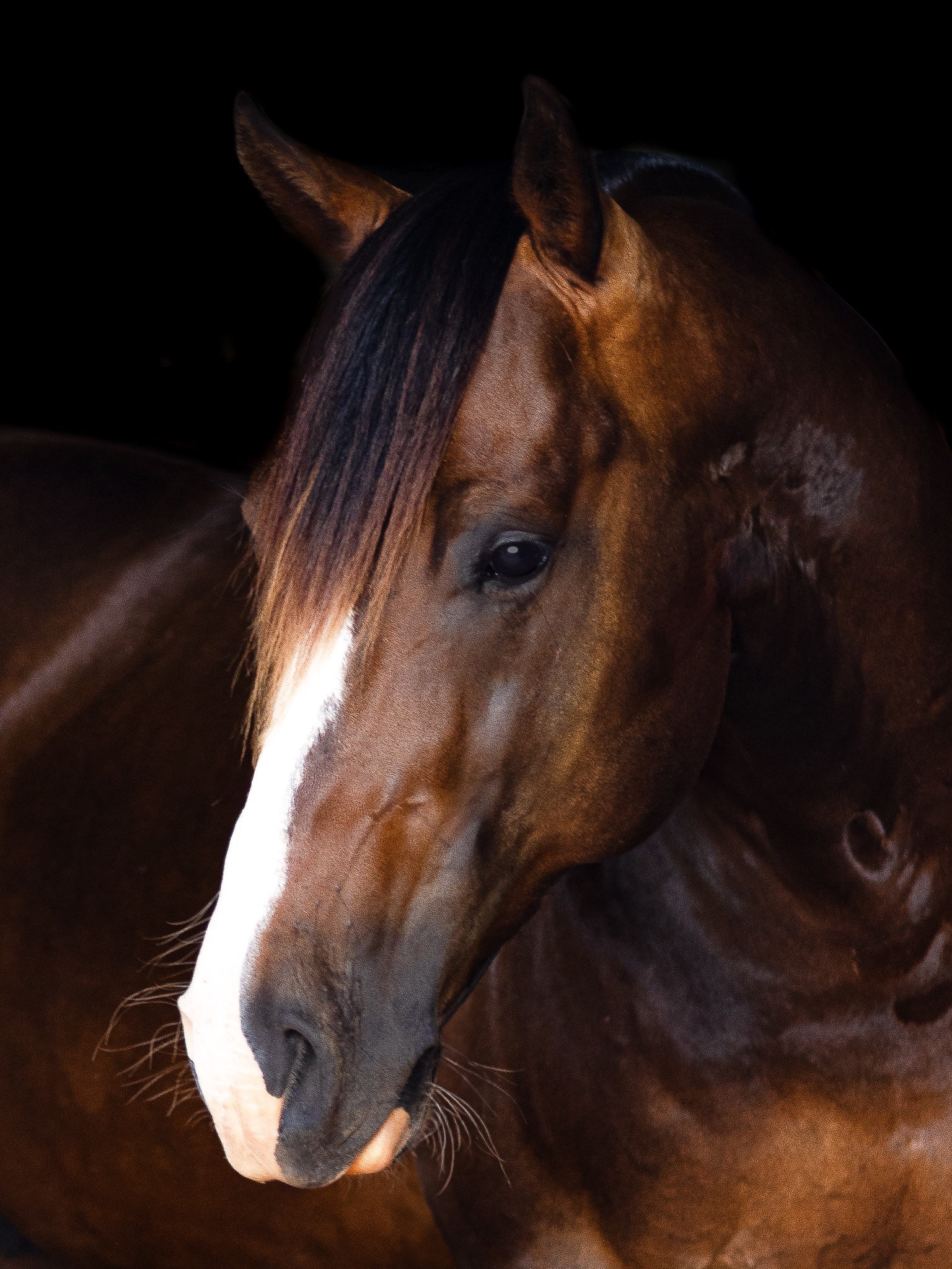 progeny_img