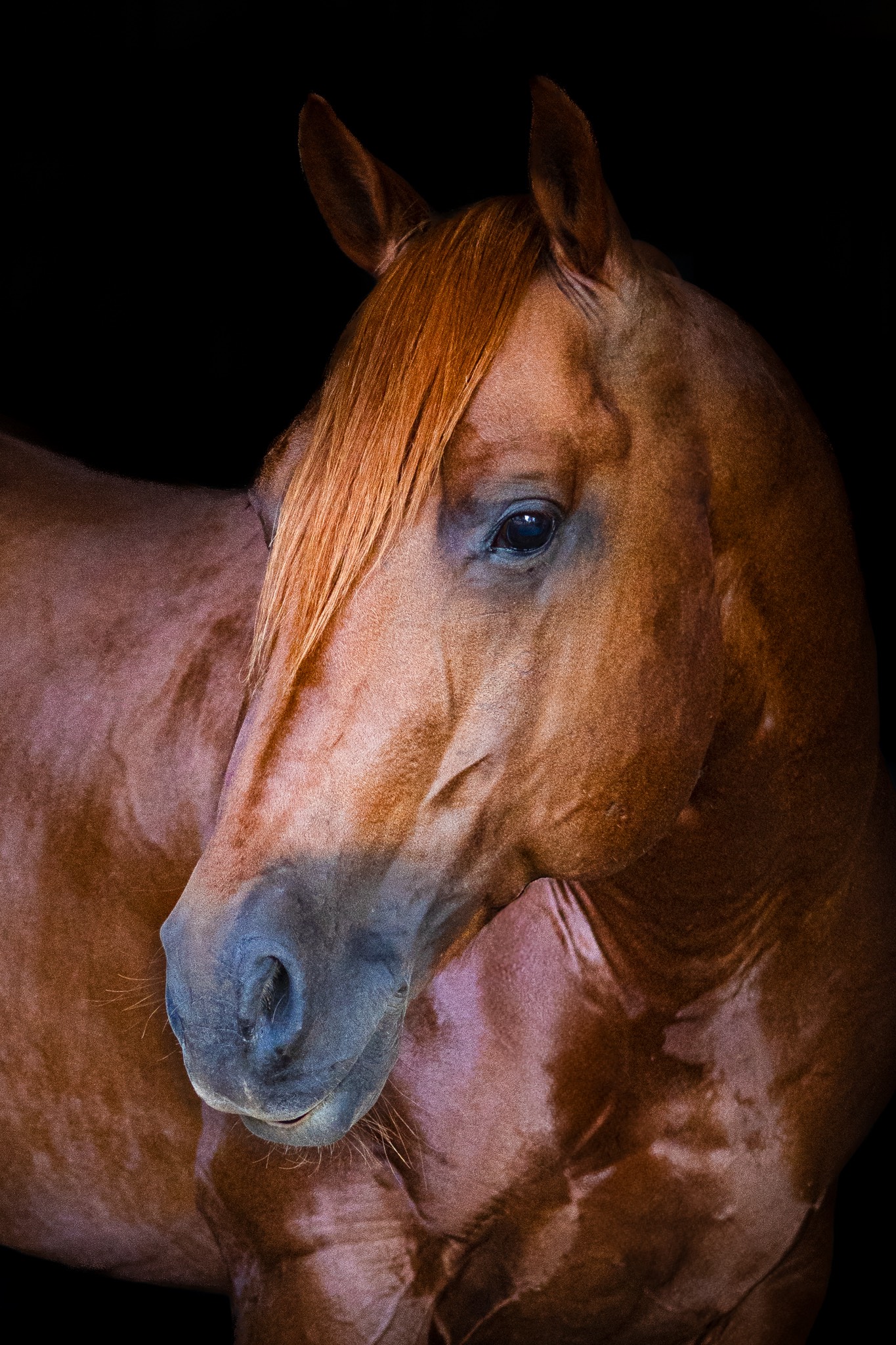 progeny_img