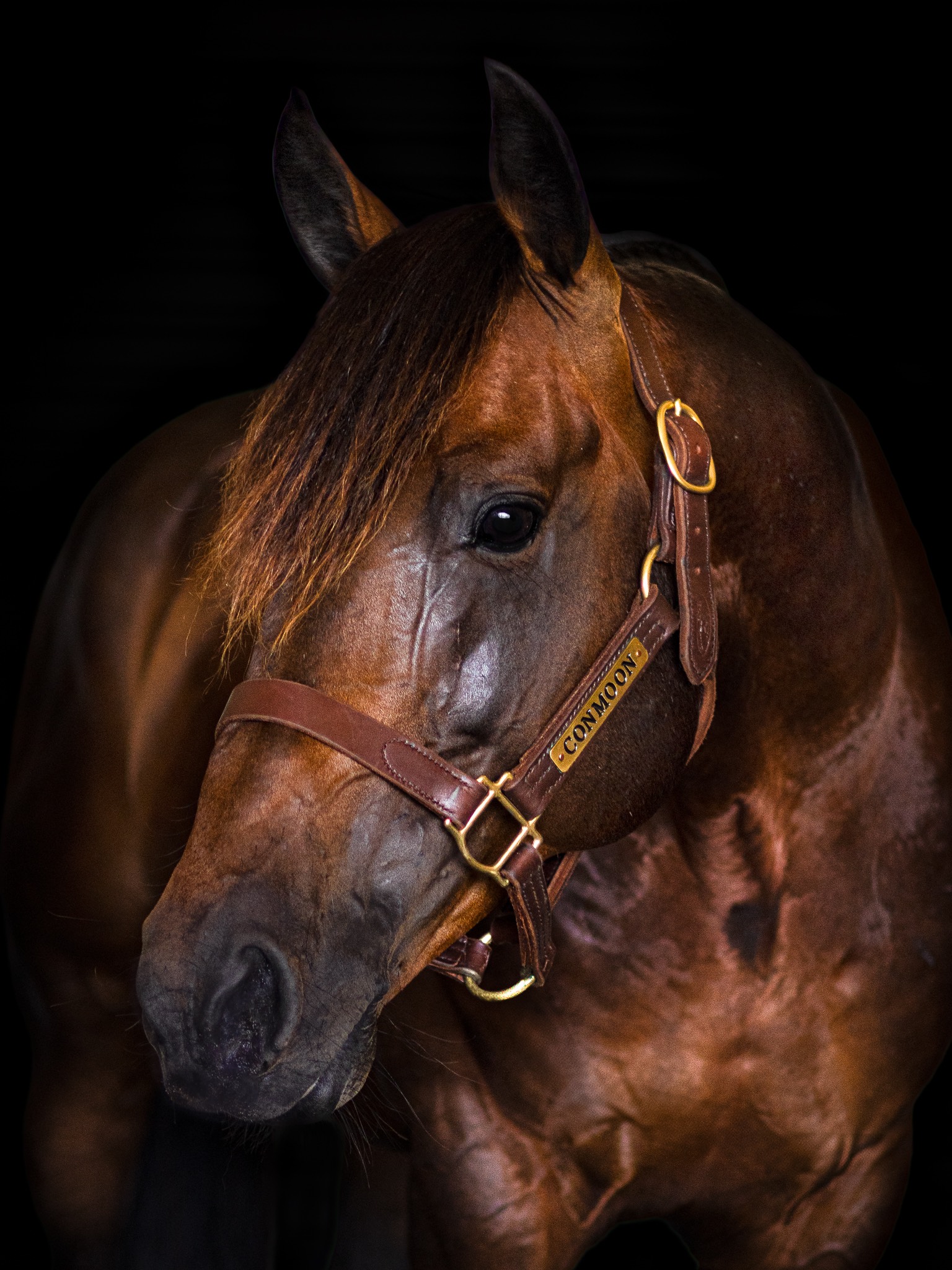 progeny_img