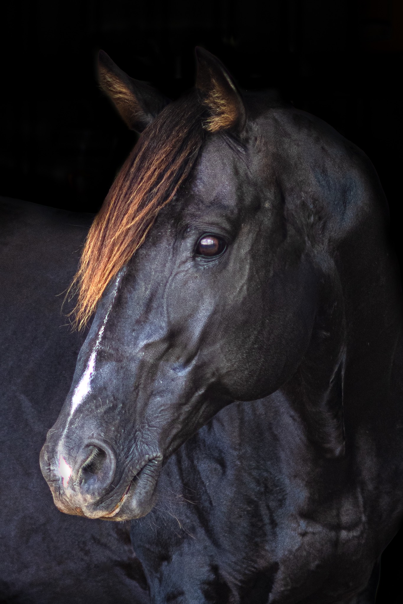 progeny_img