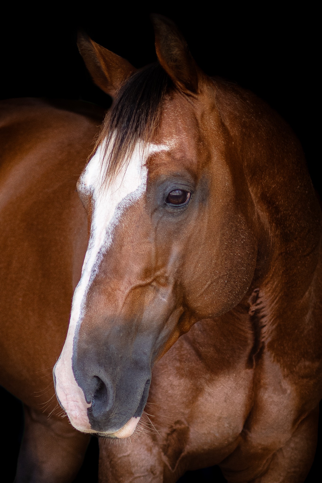 progeny_img